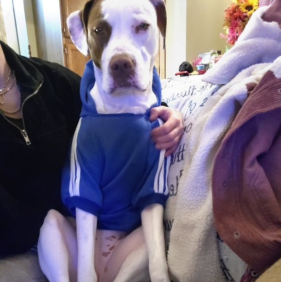 Meet your Posher, Monica aka M.C.Hu$.T.L.eCity - Picture 8 of 16